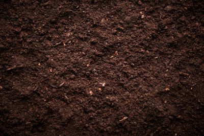 Enhanced Soil Health