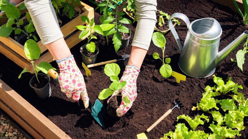 Flower Bed Maintenance in Honolulu, HI