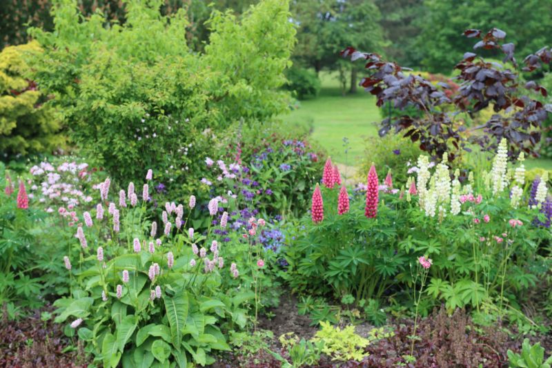 Perennial Landscaping in Ventura County, CA