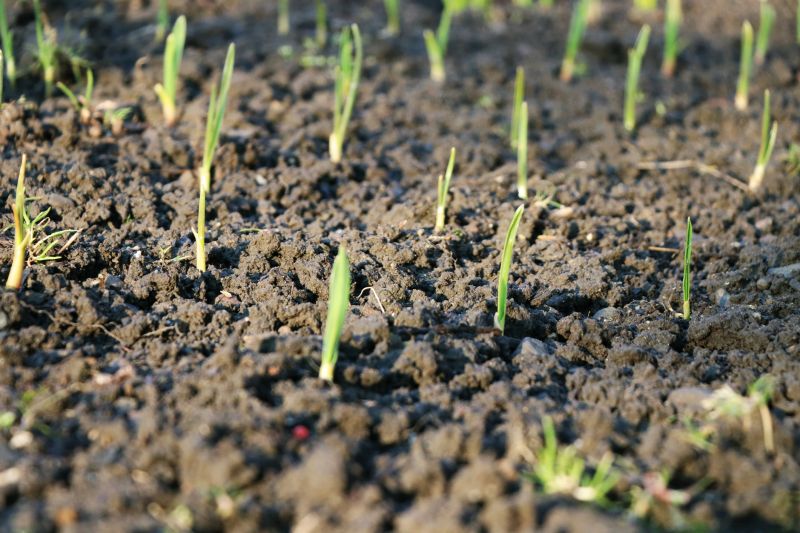 Soil Delivery in Spring